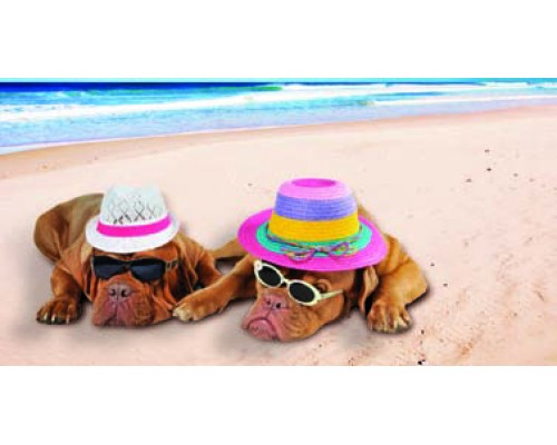 Desk Calendar DC 6